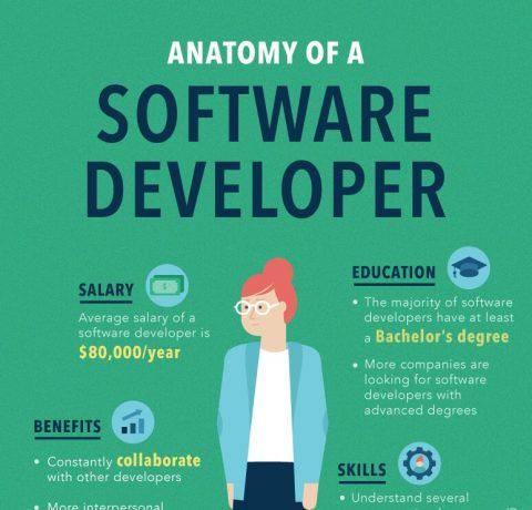 Anatomy Of A Software Developer Infographic
